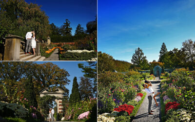 Old Westbury Gardens Wedding Photographer