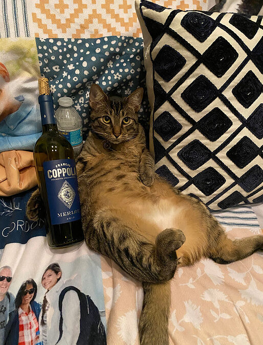 The Importance of Getting to Know Your Wedding Photographer: A Journey of Trust, Connection, and Personalization