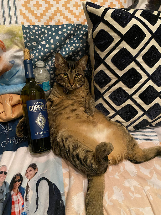 Enchanting Engagement Session Enchanting Engagement Session