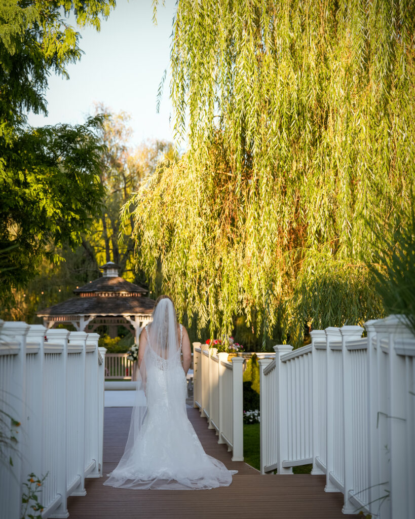 Bride standing beneath willow trees at Flowerfield St. James wedding