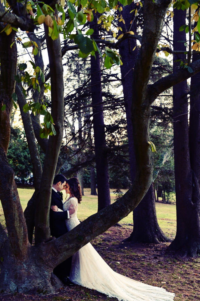 Artistic tree lined portrait at Flowerfield wedding venue Long Island