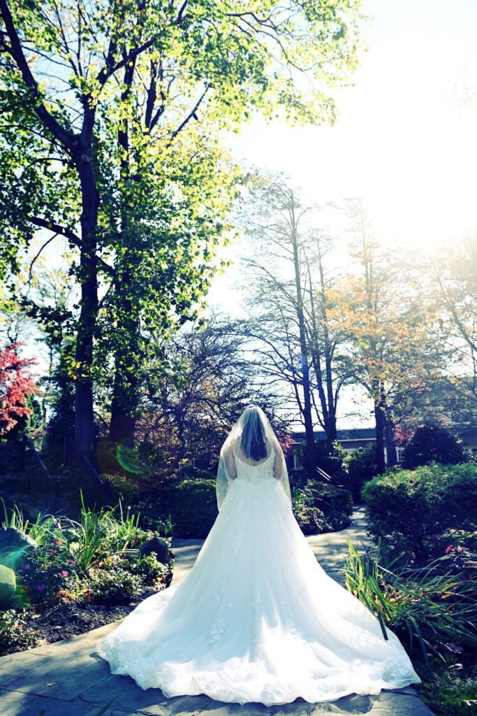 Bride with cathedral veil in Westbury Manor gardens Long Island wedding