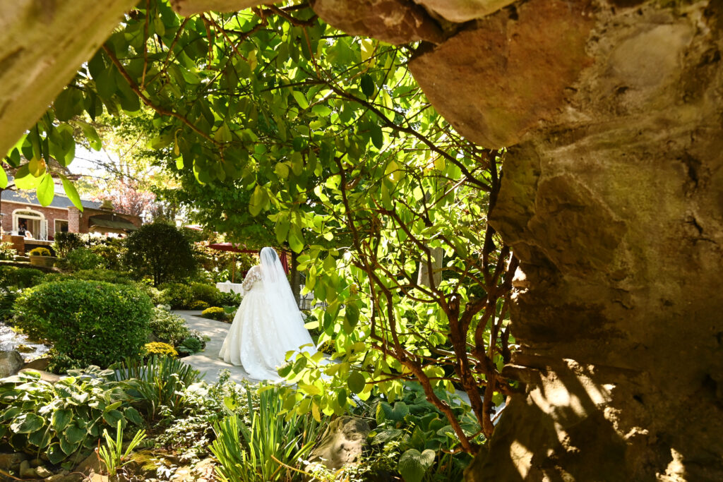Bride portrait framed by greenery in Westbury Manor gardens