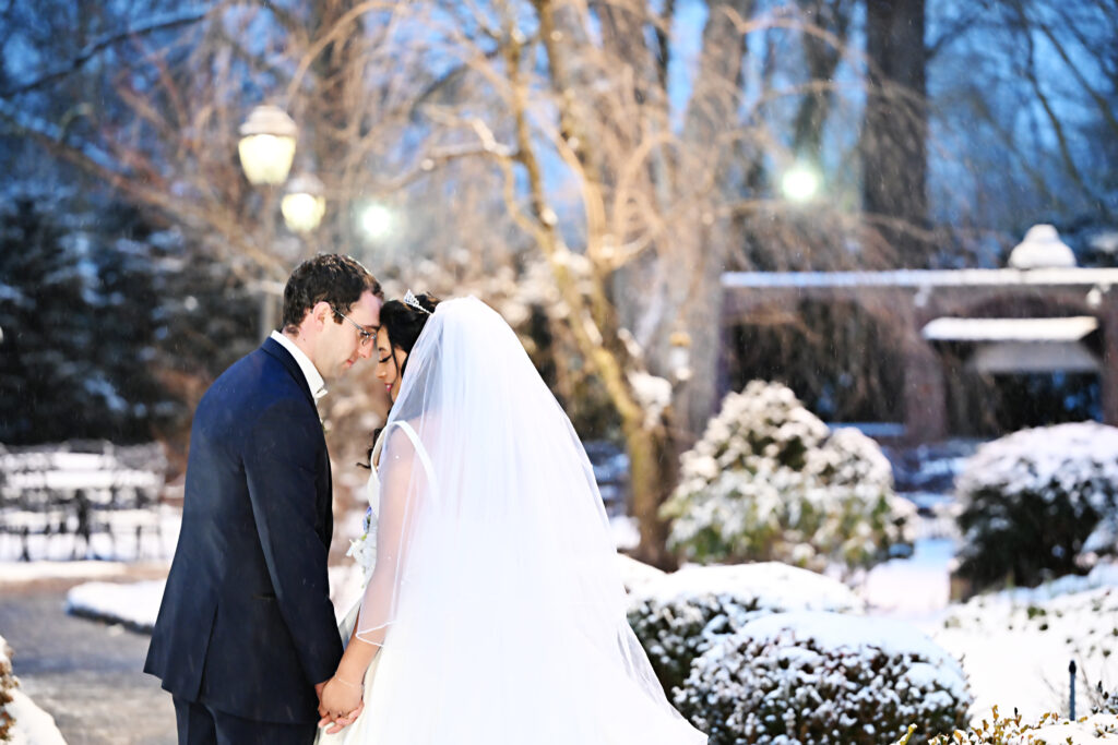 Bride and groom winter portrait in Westbury Manor gardens Long Island